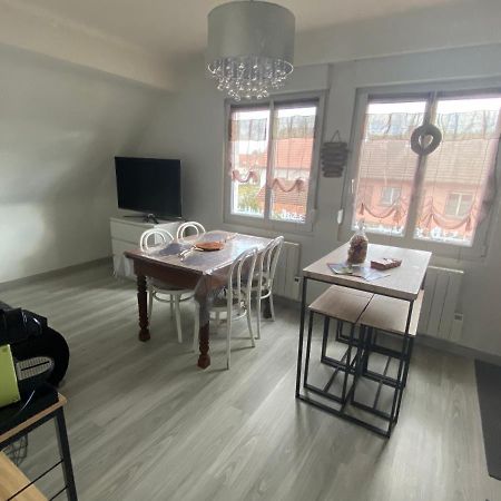 Au Paradis D'Alsace 55 M2 Nature & Relax Ingwiller Kültér fotó