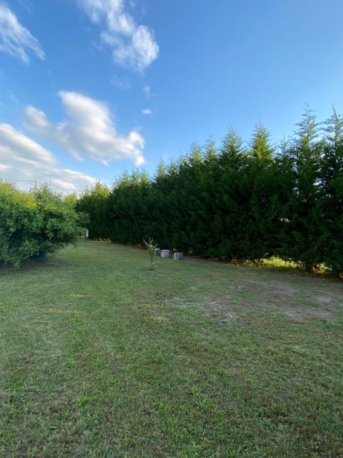 Au Paradis D'Alsace 55 M2 Nature & Relax Ingwiller Kültér fotó