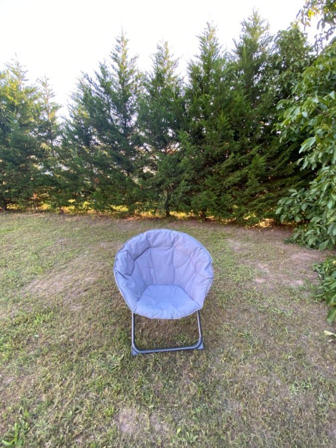 Au Paradis D'Alsace 55 M2 Nature & Relax Ingwiller Kültér fotó