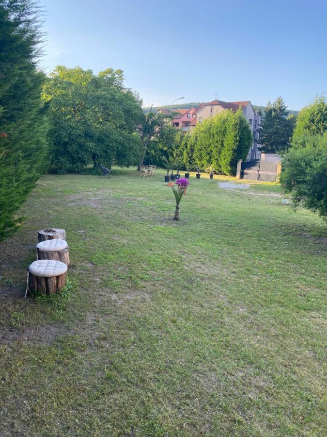 Au Paradis D'Alsace 55 M2 Nature & Relax Ingwiller Kültér fotó