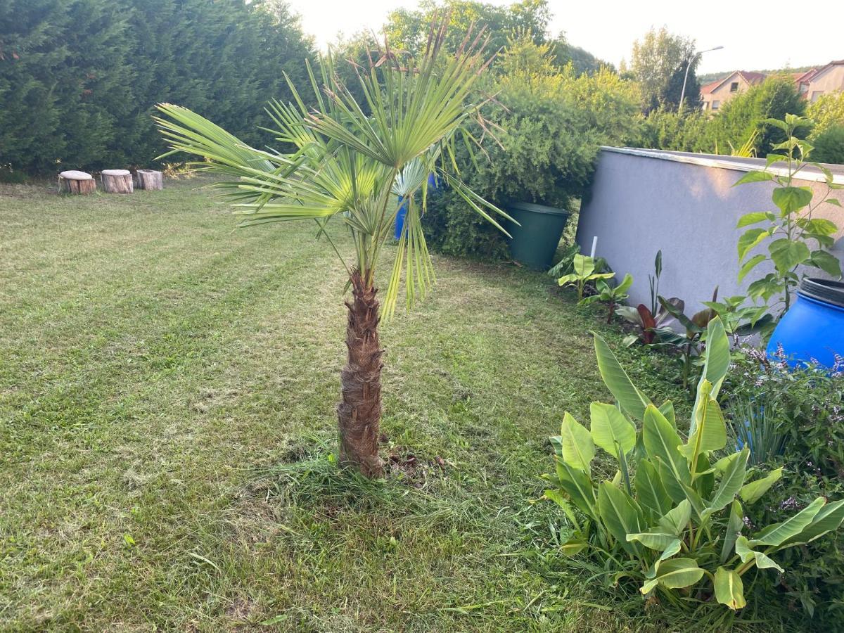 Au Paradis D'Alsace 55 M2 Nature & Relax Ingwiller Kültér fotó