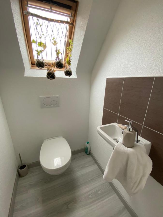Au Paradis D'Alsace 55 M2 Nature & Relax Ingwiller Kültér fotó
