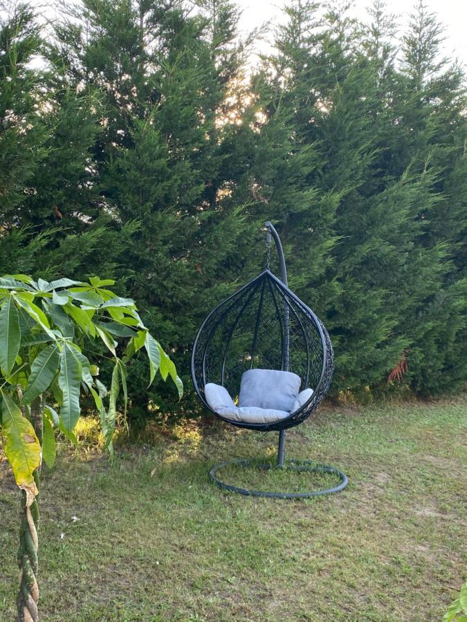 Au Paradis D'Alsace 55 M2 Nature & Relax Ingwiller Kültér fotó